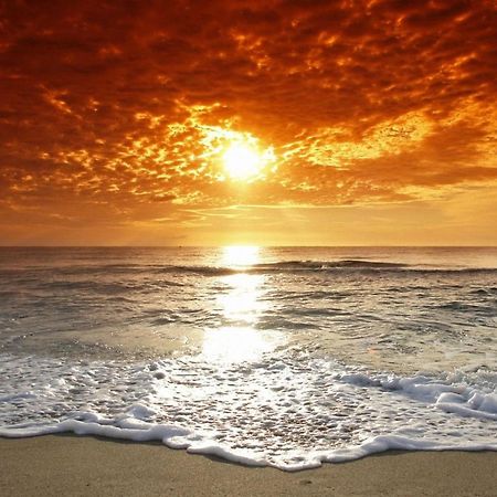 Affordable Two Bedroom Tropical Condo - Private Beach, Pools, Hot Tub Сент-Питерсберг Экстерьер фото